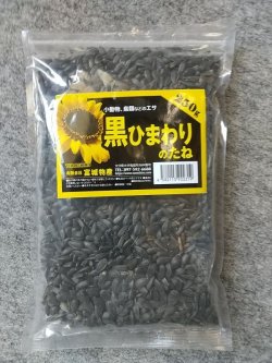 画像1: 黒ひまわりの種(小粒)250ｇ