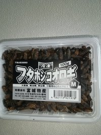 冷凍フタホシコオロギMサイズ100g