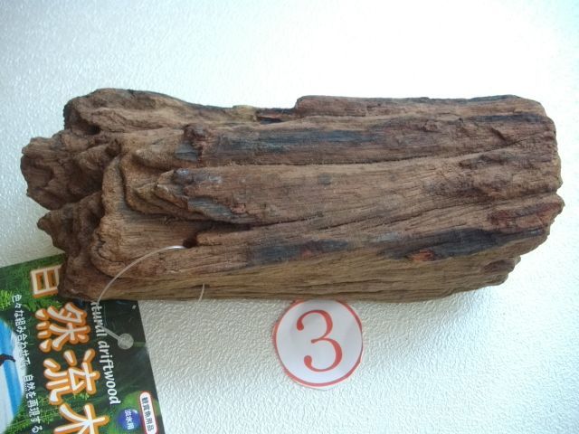 画像1: ニッソ自然流木　小サイズ　(3)
